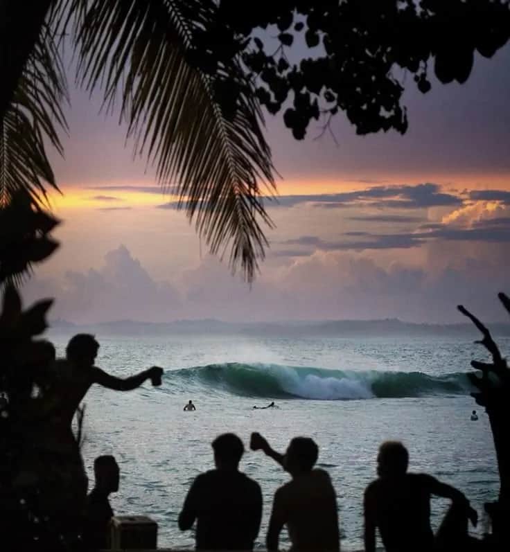 Ready to Surf?