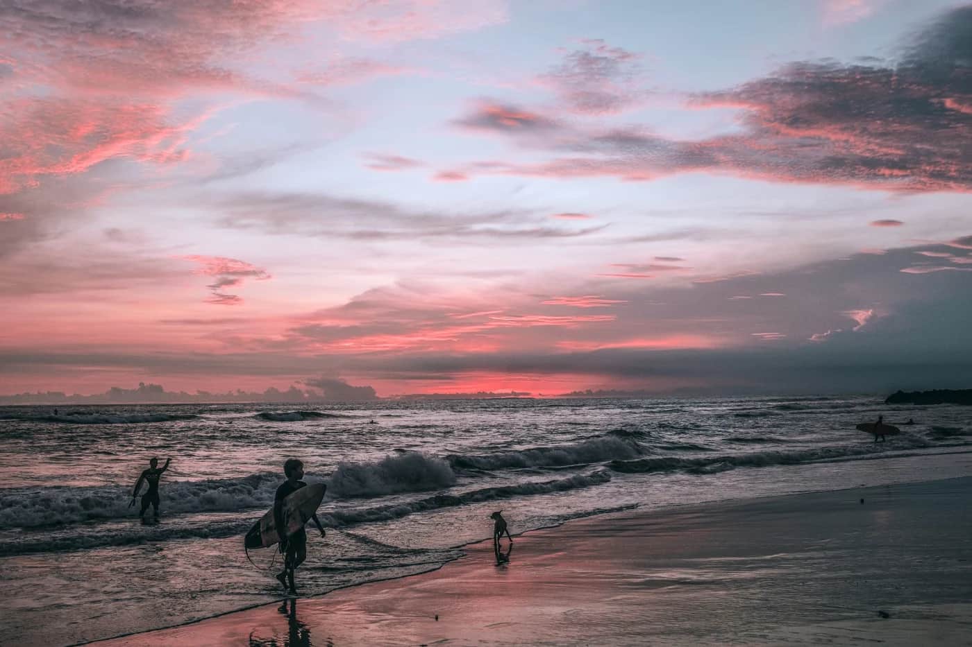 Ready to Surf?